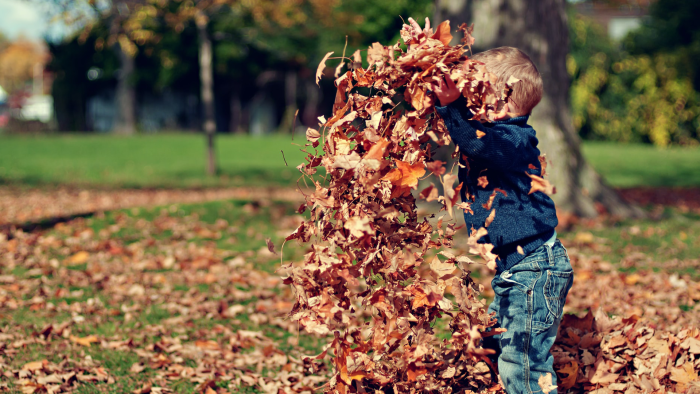 Ein Kind spielt mit Blättern im Wald